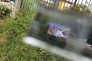 07ARRogerLamGoogleGlass-1434647551374