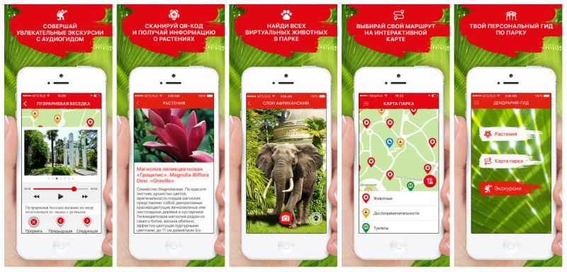 Дендрарий