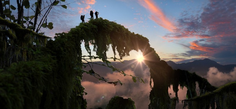 Virtual Reality Company